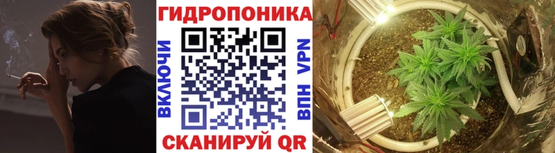 Где продают наркотики Кимовск A PVP  Кокаин  МЕФ  omg онион  ГАШ 