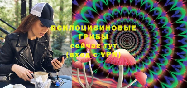 прущий лед Нея