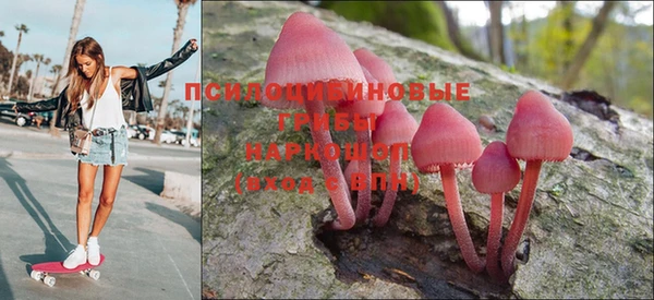спайс Гвардейск