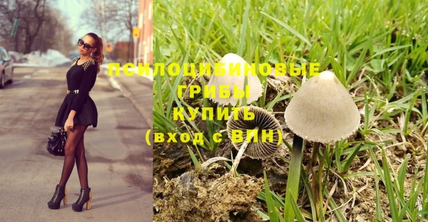 прущий лед Нея