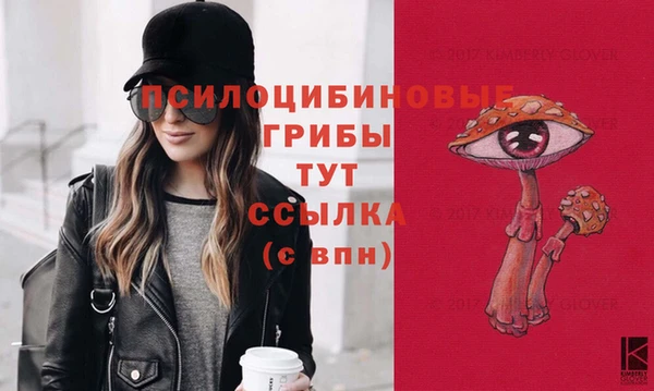 молекула духа Нефтекумск
