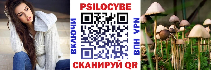 ссылка на мегу рабочий сайт где можно купить Кимовск Галлюциногенные грибы MAGIC MUSHROOMS