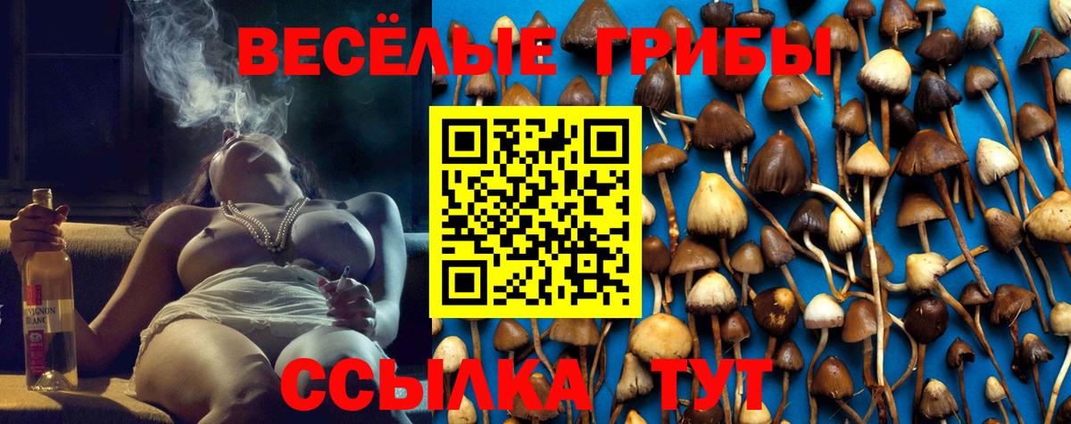 Галлюциногенные грибы Psilocybe  Вход с VPN  Псилоцибиновые грибы Psilocybe  Кимовск 